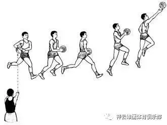 篮球训练心得体会400字左右_2